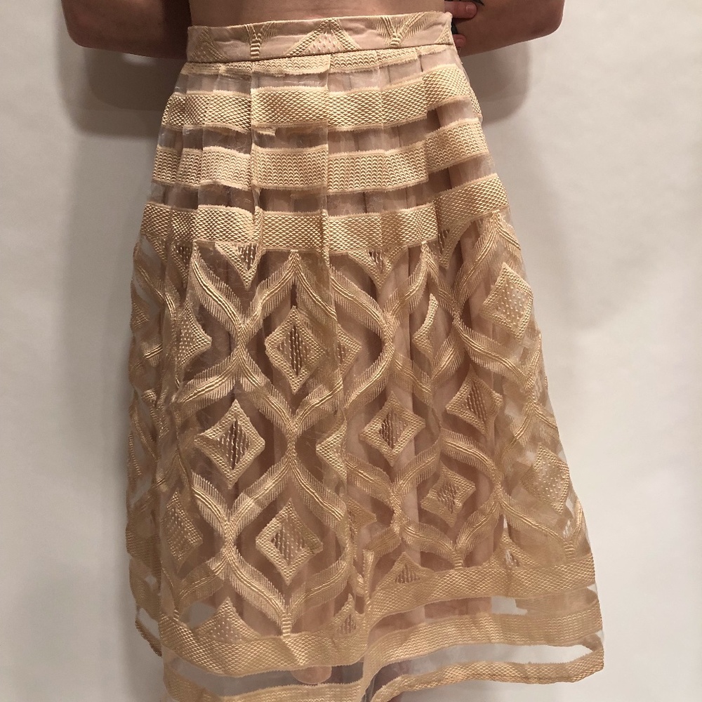 Jealous Tomato Ballerina Skirt